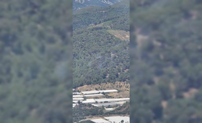 Antalya’daki orman yangını kontrol altına alındı
