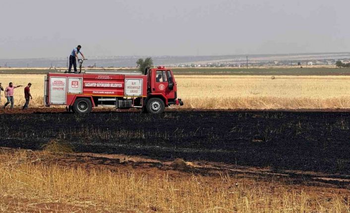 Araban Ovası’nda 15 dönüm buğday ekili alan daha yandı