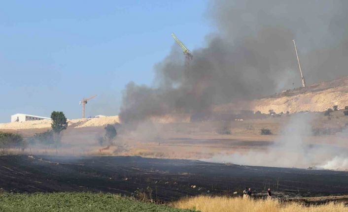 Arnavutköy Sazlıbosna’da tarım arazisinde yangın paniği