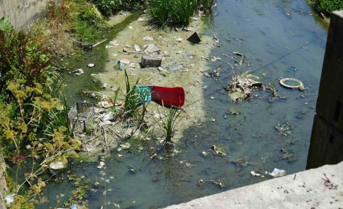 Arnavutköy’de kötü kokulu dere tepkisi