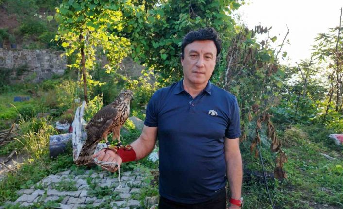 Asırlık atmaca geleneği Artvin’de yaşatılıyor