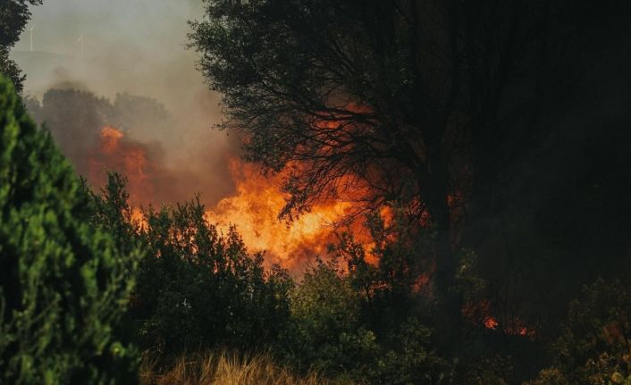 Aydın’da çiftçilere yangın uyarısı: Hasatta tedbirli olun