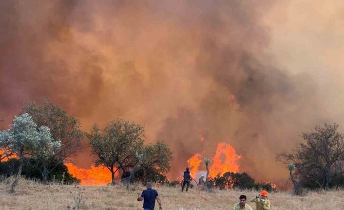 Aydın’da hafta sonu 11 yangın çıktı