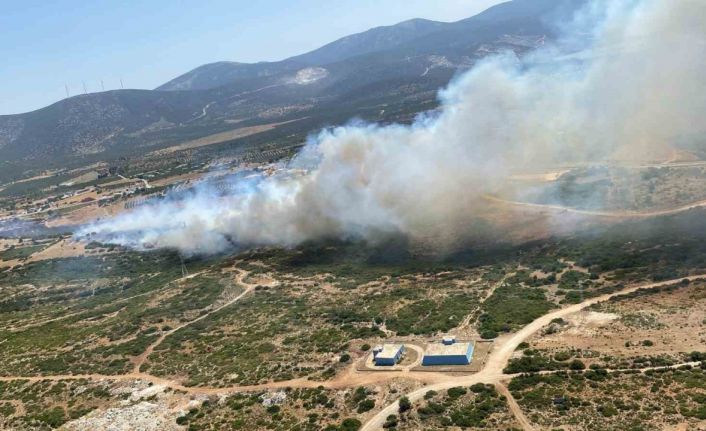 Aydın’da son 48 saatte 93 yangın çıktı, ateş savaşçıları zamanla yarıştı