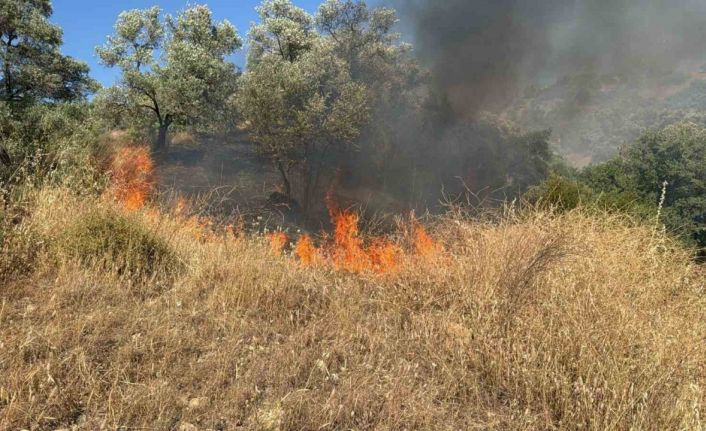 Aydın’da zirai alanda yangın çıktı