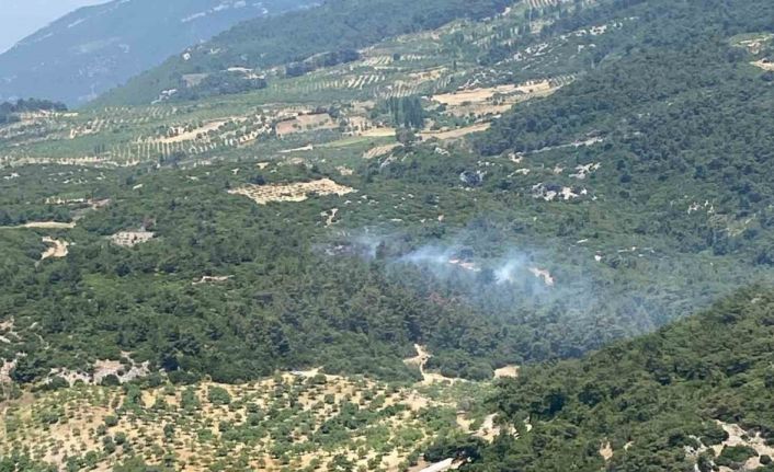 Aydın’daki orman yangını kontrol altına alındı