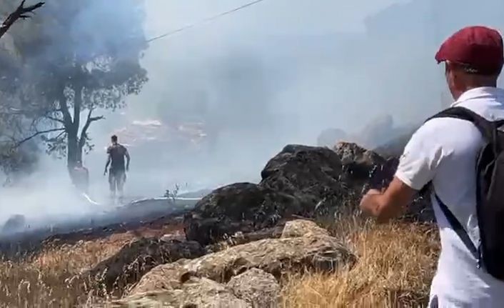 Ayvalık’ta orman yangını