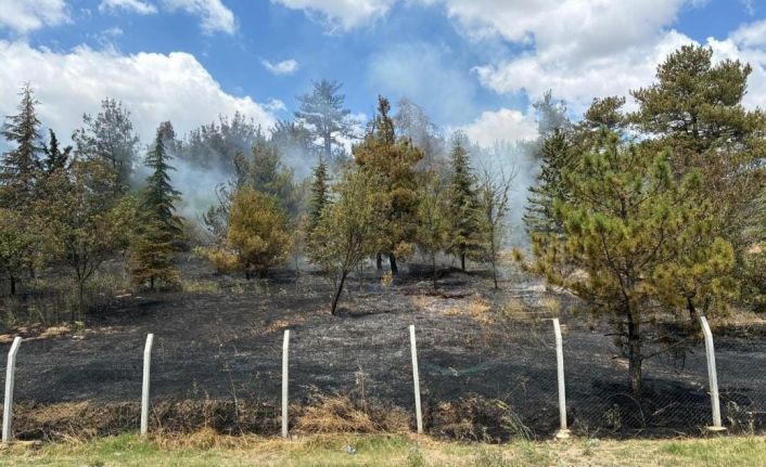 Babaeski’de çamlık alanda çıkan yangın söndürüldü