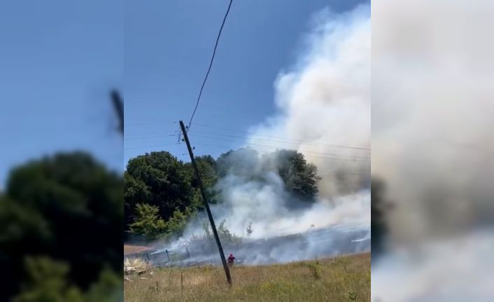 Bahçede çıkan yangın ormana sıçradı