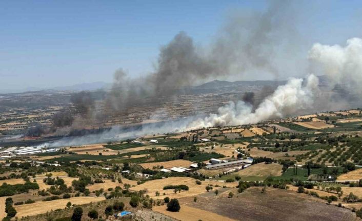 Balıkesir Pamukçu’da arazi yangını
