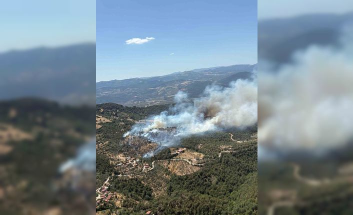 Balıkesir’de araziden ormana sıçrayan yangına müdahale sürüyor