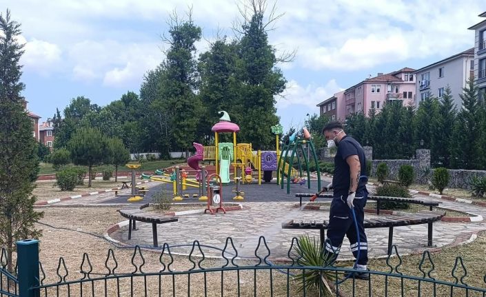 Bartın’da kene ile mücadele