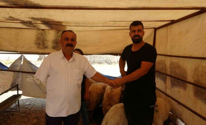 Batman’da kurbanlık satışlarında yoğunluk sürüyor