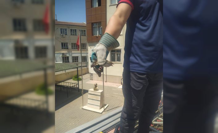 Batman’da tellere takılan kuşu itfaiye ekipleri kurtardı