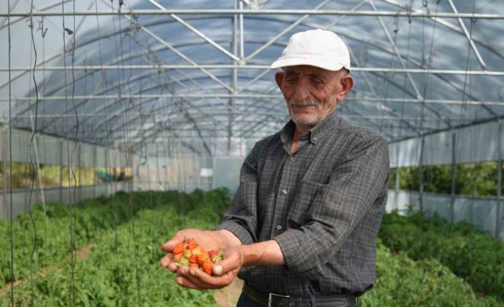 Bayburtlu çiftçinin yıkılan serası devlet eliyle yeniden ayağa kaldırıldı