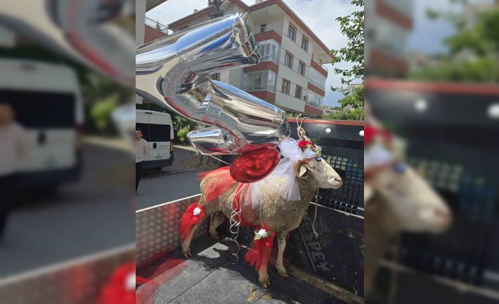 Beypazarı’nda gelin adaylarına ‘koç gönderme’ geleneği devam ediyor