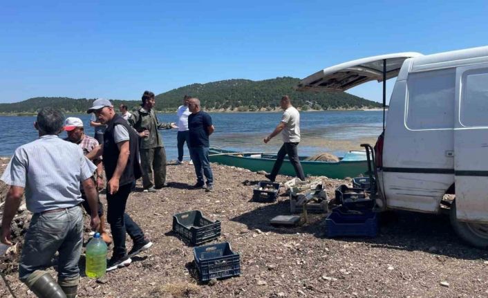 Beyşehir Gölünde ağlara vuran 17 kiloluk sazan balığı şaşırttı
