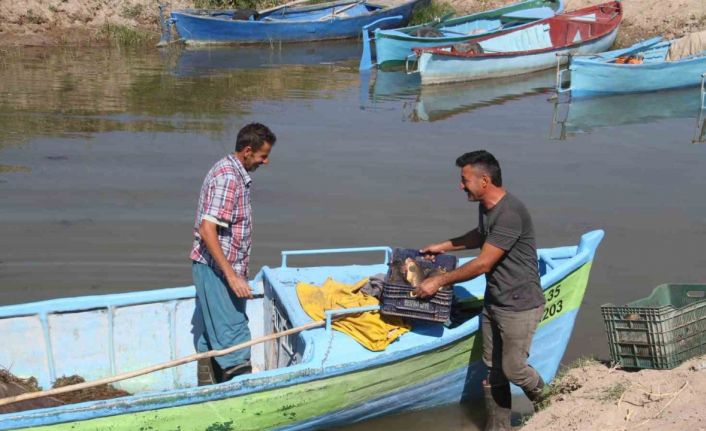 Beyşehir Gölü’nde yeni av sezonu başladı