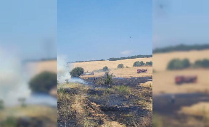 Biga’da tarım arazisinde çıkan yangın kontrol altına alındı