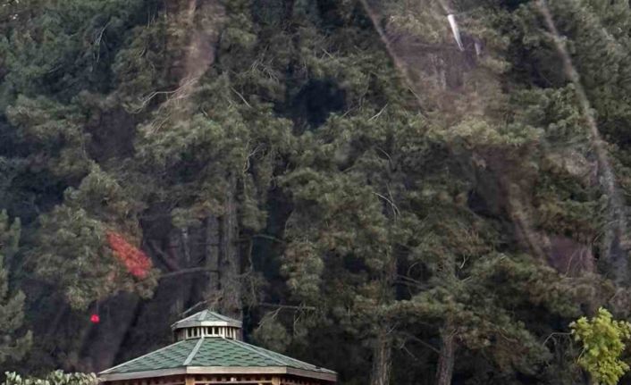 Bilecik’te 3 gündür süren orman yangınının ardından bu görüntüler ’pes’ dedirtti