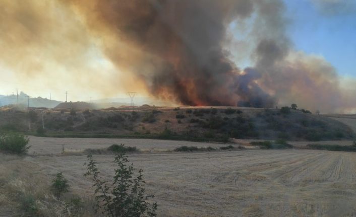 Bilecik’te çıkan orman yangını NATO tesislerine sıçradı