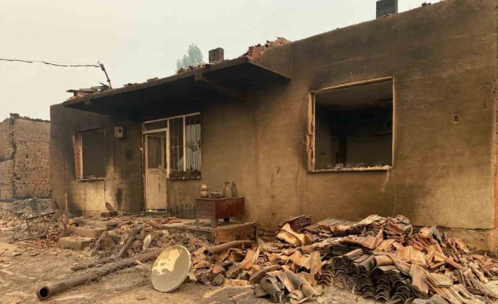 Bilecik’teki orman yangınında bir köy kül oldu