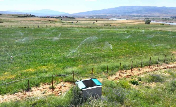 Bingöl’de 182 bin dekar alan sulanacak