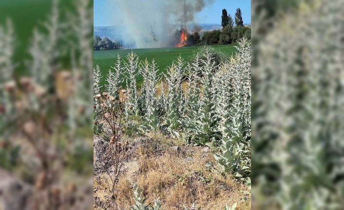 Bingöl’de ağaçlık alanda korkutan yangın