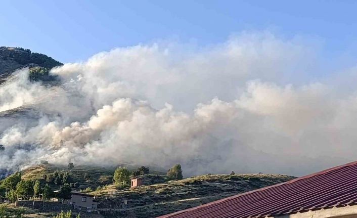 Bingöl’de ağaçlık alanda yangın