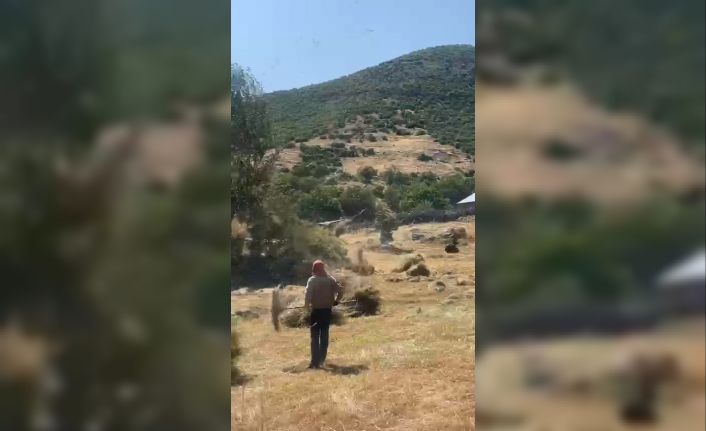 Bingöl’de hortum otları uçurdu