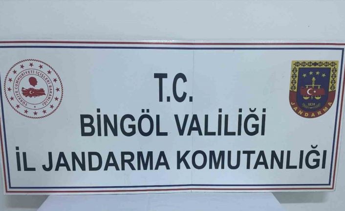 Bingöl’de jandarmanın dikkati tarihi eser kaçakçılığını önledi