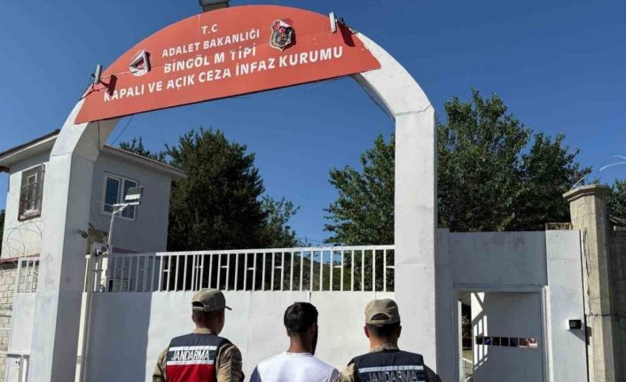 Bingöl’de kesinleşmiş hapis cezası bulunan şahıs yakalandı