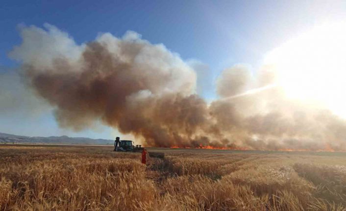 Bingöl’de onlarca dönüm ekili arazi küle döndü