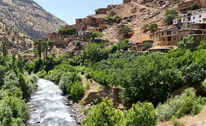 Bitlis’in saklı cenneti: Hacı Mehmet köyü doğaseverlerin yeni gözdesi oldu