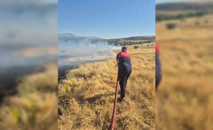 Bitlis’te iki ayrı noktada örtü yangını