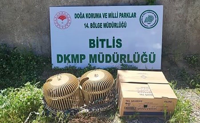 Bitlis’te kaçak keklik aylayan kişiye 63 bin TL idari para cezası uygulanacak