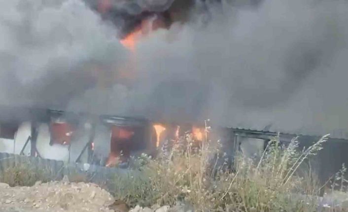 Bodrum’da işçilerin kaldığı konteynerlerde yangın çıktı