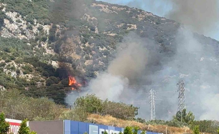 Bodrum’da makilik ve ormanlık alanda yangın çıktı