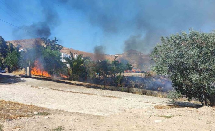 Bodrum’da otluk alanda çıkan yangın site sakinlerini korkuttu