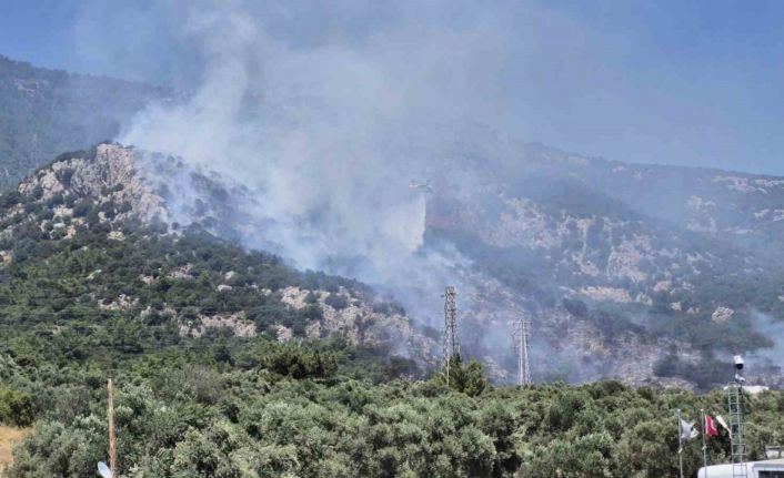 Bodrum’daki yangın kontrol altına alındı
