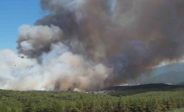 Bornova’daki yangın büyüdü; 8 uçak ve 17 helikopterle müdahale sürüyor