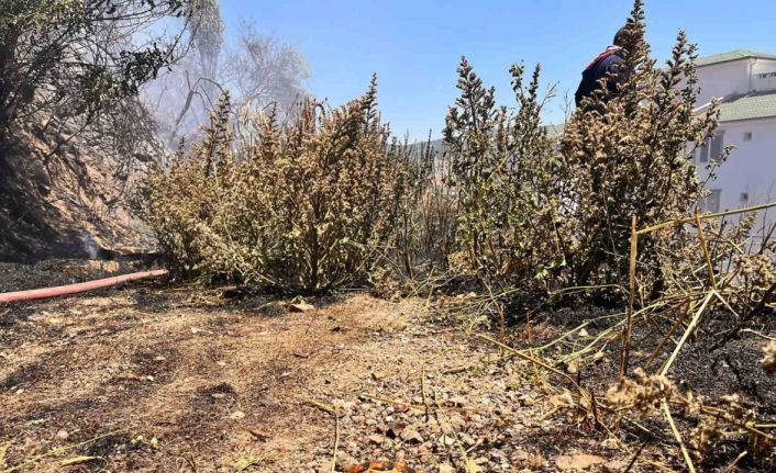 Boş araziden alevler yükseldi, vatandaşlar ve ekipler seferber oldu