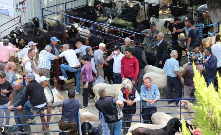 Bozdoğan Belediyesi’nden Kurban Bayramı öncesi satış yeri hizmeti