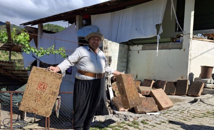 Bu da Adana usulü "sinekle mücadele"