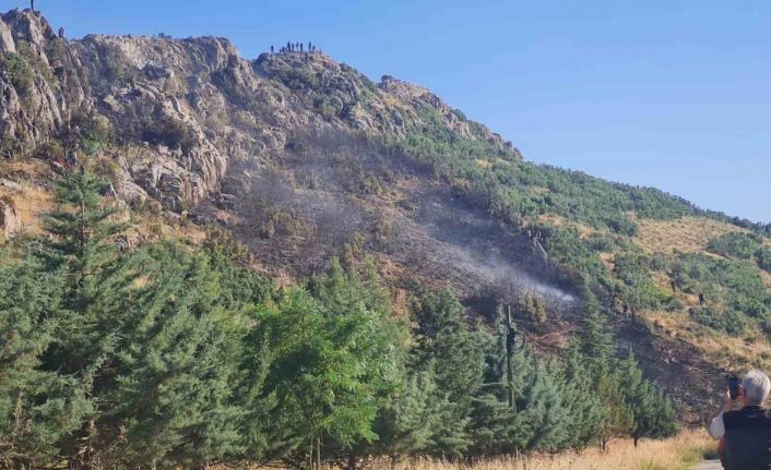 Bucak’taki orman yangını söndürüldü