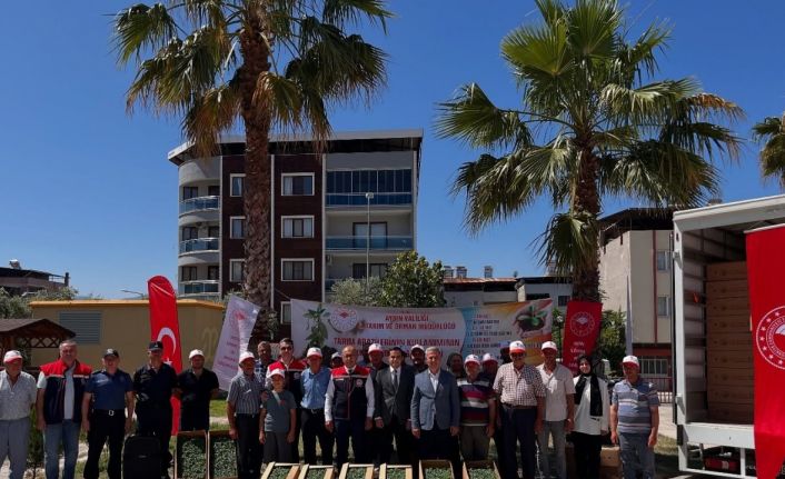 Buharkent’te domates fideleri üreticilere teslim edildi