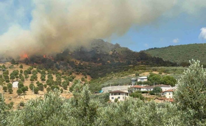 Bursa İznik’te büyük orman yangını