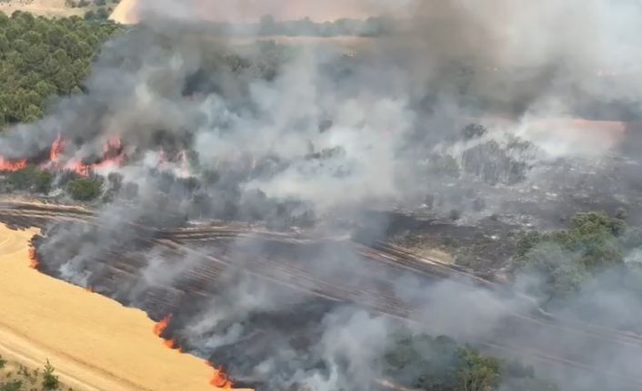 Bursa’da buğday tarlaları alevlere teslim oldu