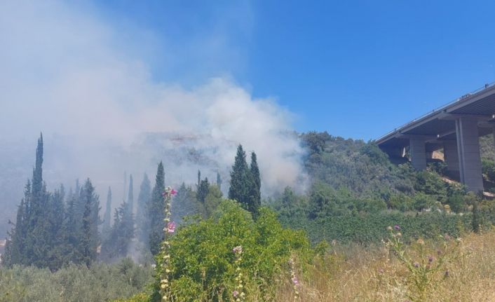 Bursa’da çam ormanı yanıyor