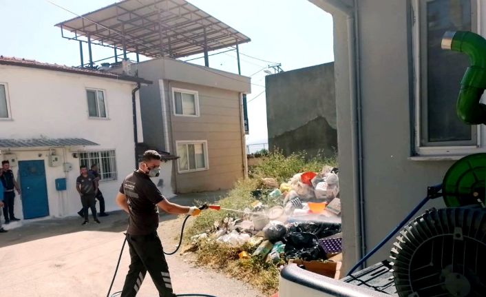 Bursa’da çöp ev mahalleyi canından bezdirdi